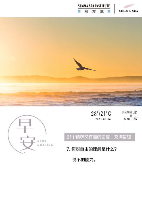 理解是什么意思