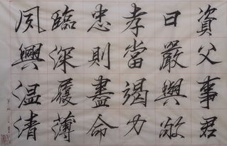 临深履薄什么意思，临深履薄古诗