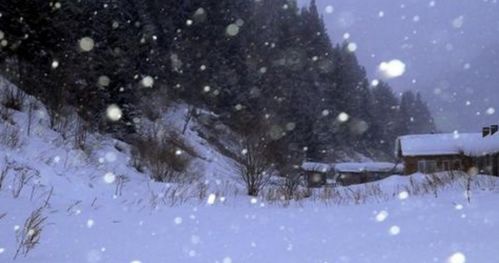 带“雪”字的四字成语