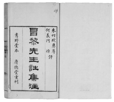 以文为诗名词解释，以文为词的诗人