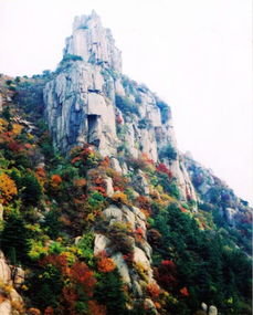 香炉峰在哪