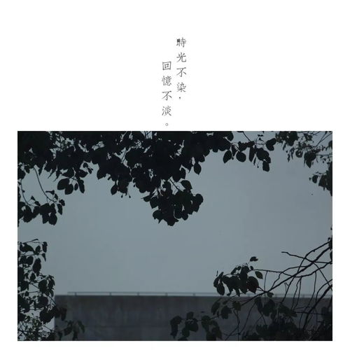 热忱怎么读