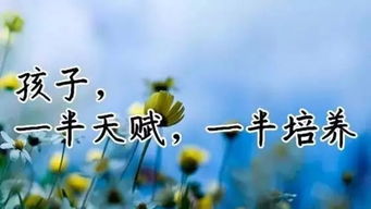 洗尽铅华,珠玑不御是什么意思，洗尽铅华始见真,浮华褪尽方显诚