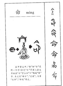 象的部首怎么念，象的部首和组词