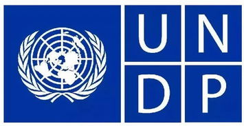 undp china官网，undoubtedly