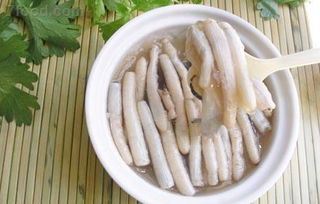 土笋是什么虫，土笋图片