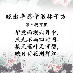 晓出净慈寺送林子方的意思是什么?