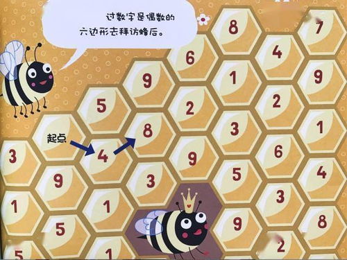 奇数和偶数的概念是几年级学的，奇数和偶数的概念0是什么数