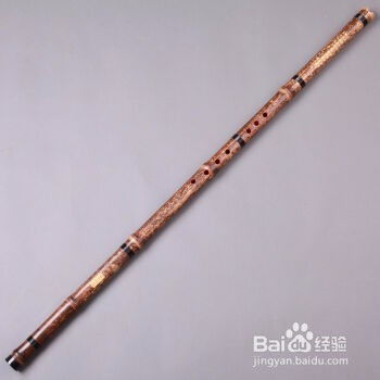 埙好学吗