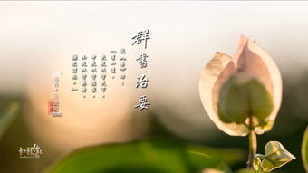 善事的句子经典语录，善事福报语录