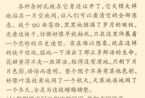 对比手法的句子