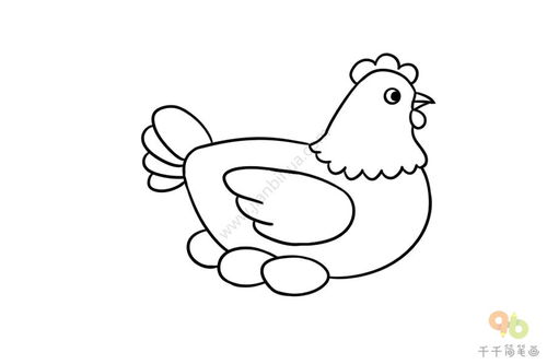 母鸡简笔画步骤