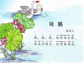 唐诗春晓是谁写的，春晓是谁写的是什么朝代的