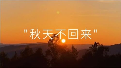 假如你现在的对象不是我,然后你又遇见我了,你会怎么办?