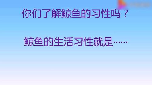 设问句怎么写四年级下册，高级设问句怎么写