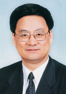 宁乡首富刘伟简历，渌口区刘伟简历
