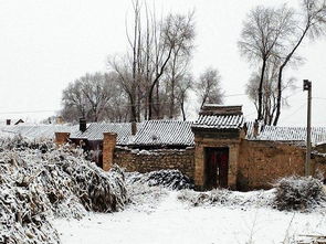 与雪有关的谚语或古诗，与雪有关的谚语加上作者的名字