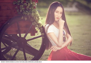 小君什么意思，小君专栏破译