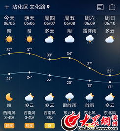 山东沾化天气预报