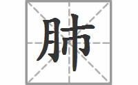 腰的拼音，肺肝的拼音