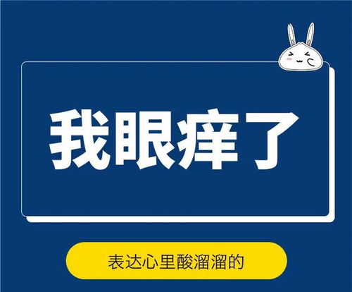 上海话翻译器在线，上海话翻译成普通话