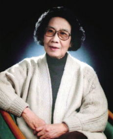 袁派是什么职业