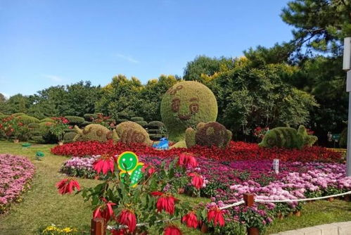 长春适合情侣的动、植物园长春动植物园好玩吗
