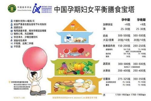 斤两的读音斤两的读音是什么