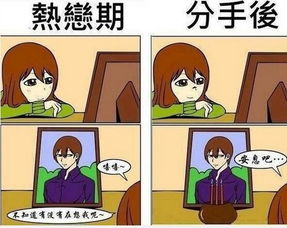 雷人什么意思