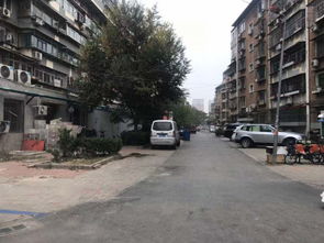 金冠黑糖话梅糖广告，金冠黑糖话梅糖的价格