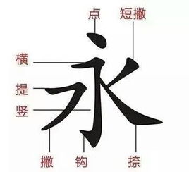 背的笔画顺序是什么