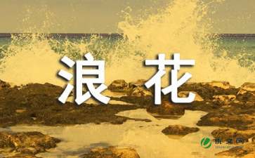 心海中的那朵浪花作文900字