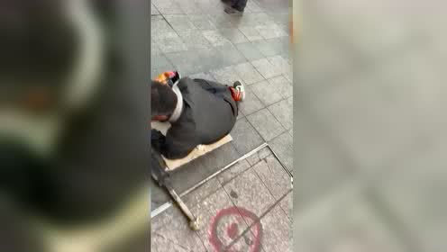 起腻子，起风了歌词
