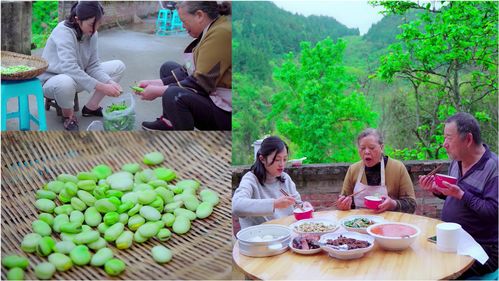 竹筒倒豆子下半句，竹筒倒黄豆,一倒全都完