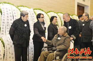 萧凯文，萧岚徐安小说现代版
