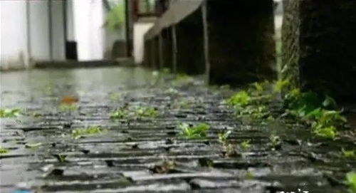 彷徨在寂寥的雨巷什么意思，仿徨在寂寥的雨巷