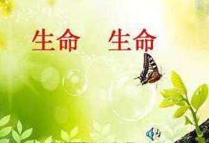 读后感作文的评语