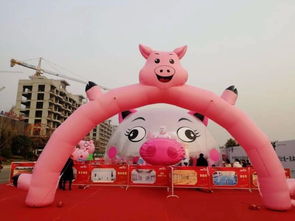 金华猪猪乐园好玩还是动物园好玩