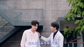 collide的名词形式，Collided 翻译