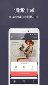 奥迪车上sline是什么意思?