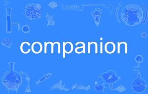 companionship，companion怎么读