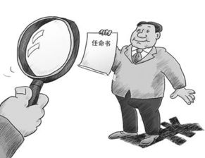 严峻什么意思啊??