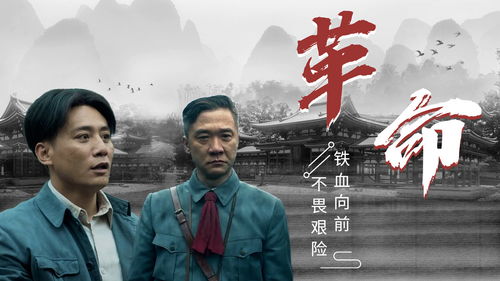 什么什么为国的成语