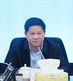 程文的个人履历