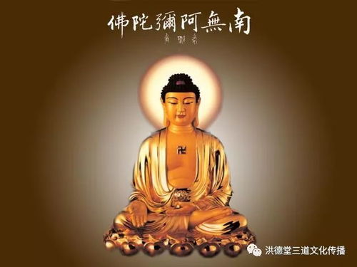 阿弥陀佛的故事第一集视频，观世音菩萨头顶阿弥陀佛的故事