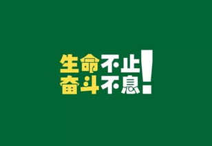 南开大学控制科学与工程考研经验分享?