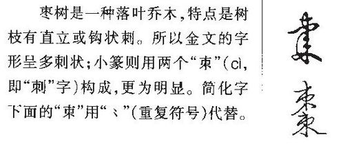 枣字的笔顺
