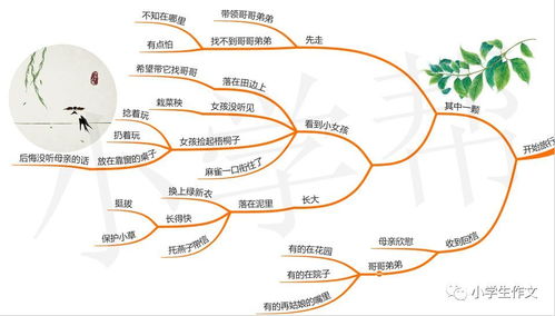 叶圣陶梧桐子的读后感,梧桐子读后感?