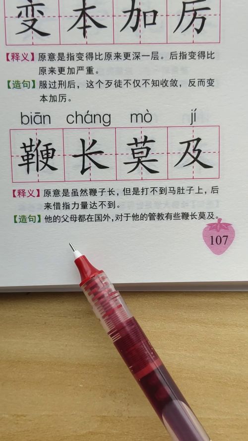 鞭长莫及造句10字，鞭长莫及造句一年级