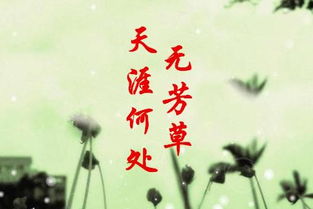 天涯何处无芳草下一句，天涯何处无芳草,何必单恋一枝花下一句